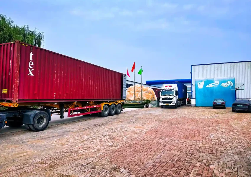 WGC Factory Container loading